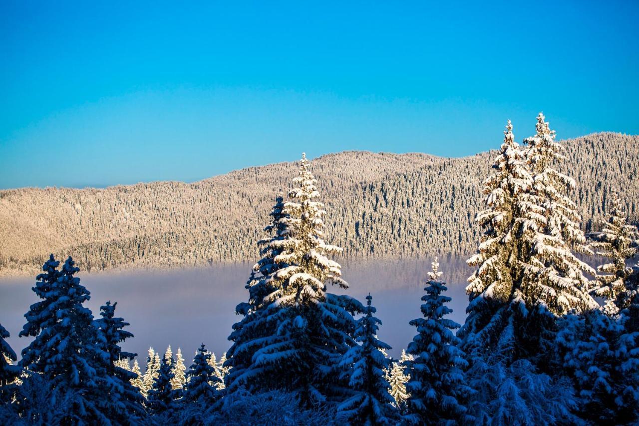 Sunny Hills Ski&Wellness Pamporovo Exterior photo
