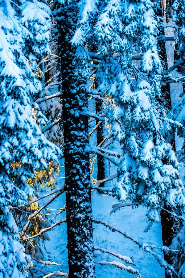 Sunny Hills Ski&Wellness Pamporovo Exterior photo