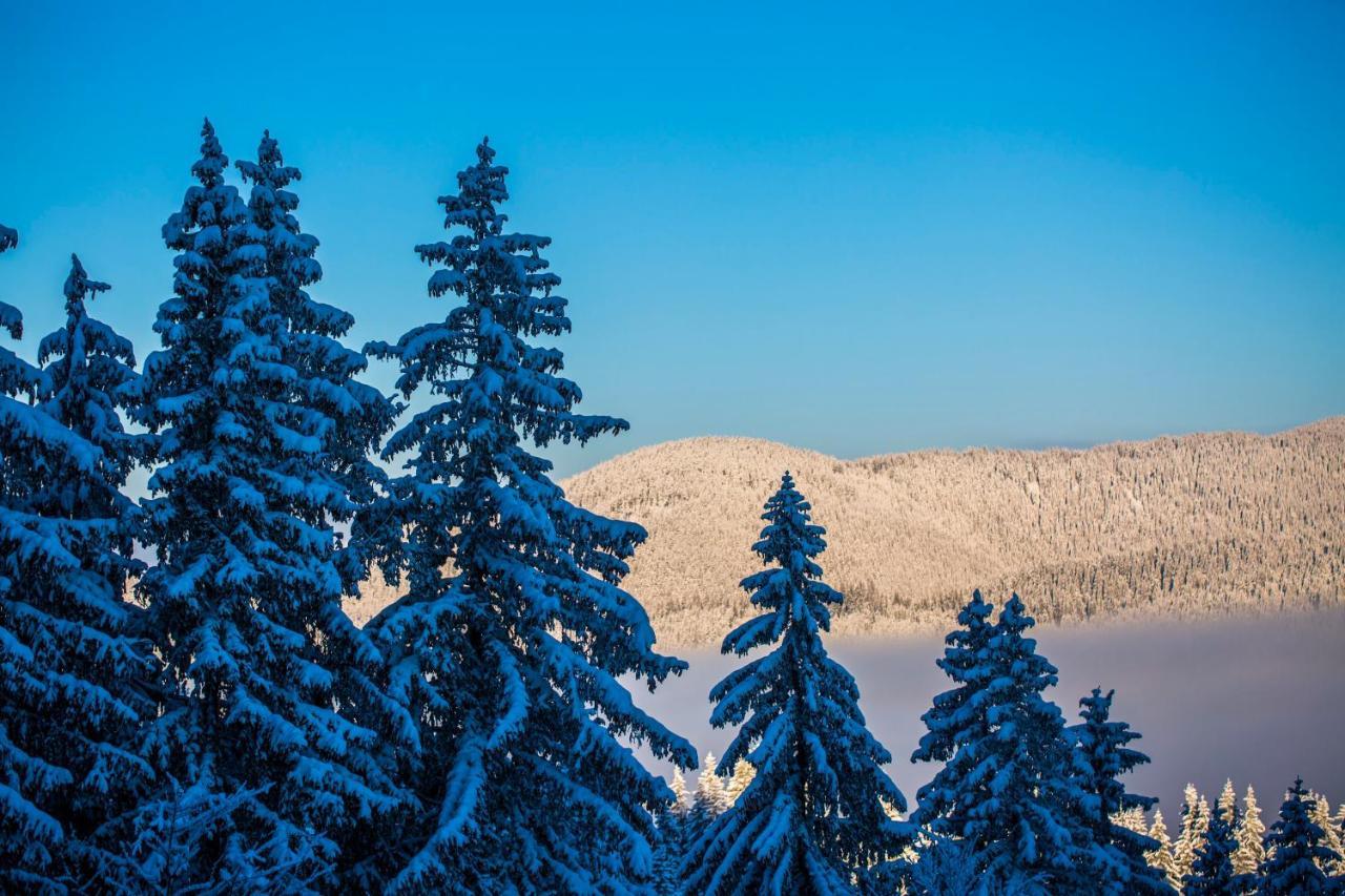 Sunny Hills Ski&Wellness Pamporovo Exterior photo