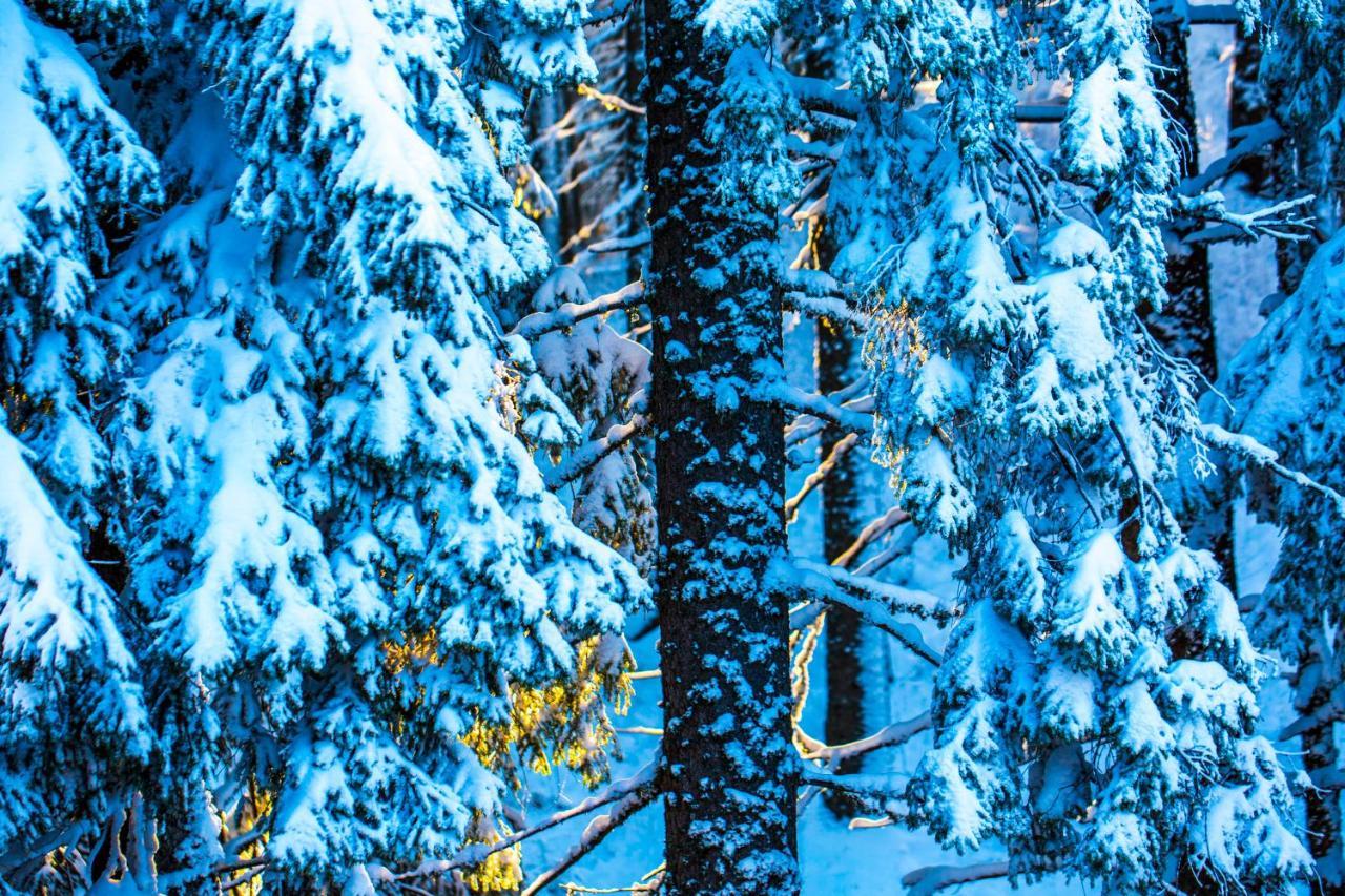 Sunny Hills Ski&Wellness Pamporovo Exterior photo