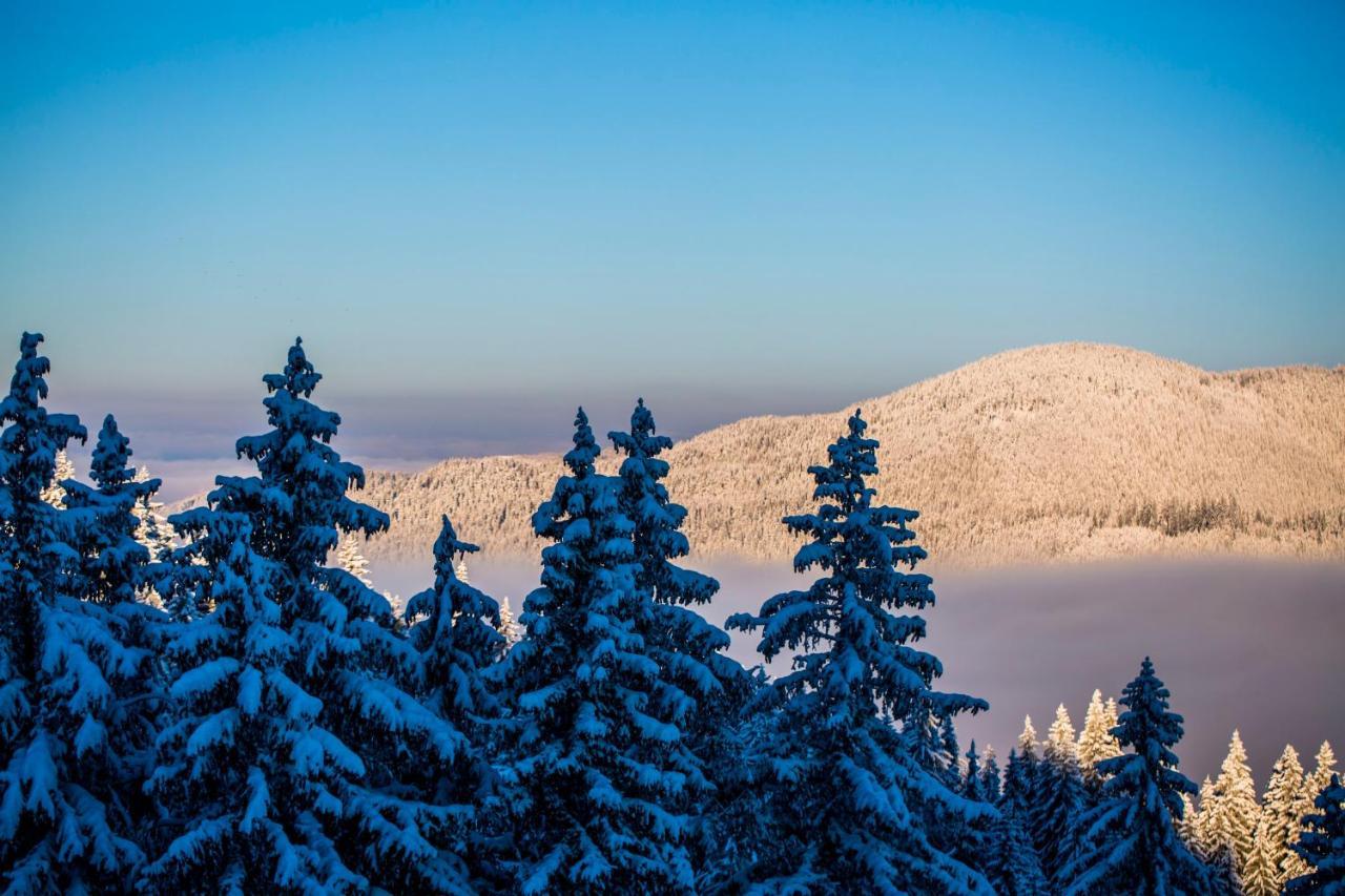 Sunny Hills Ski&Wellness Pamporovo Exterior photo