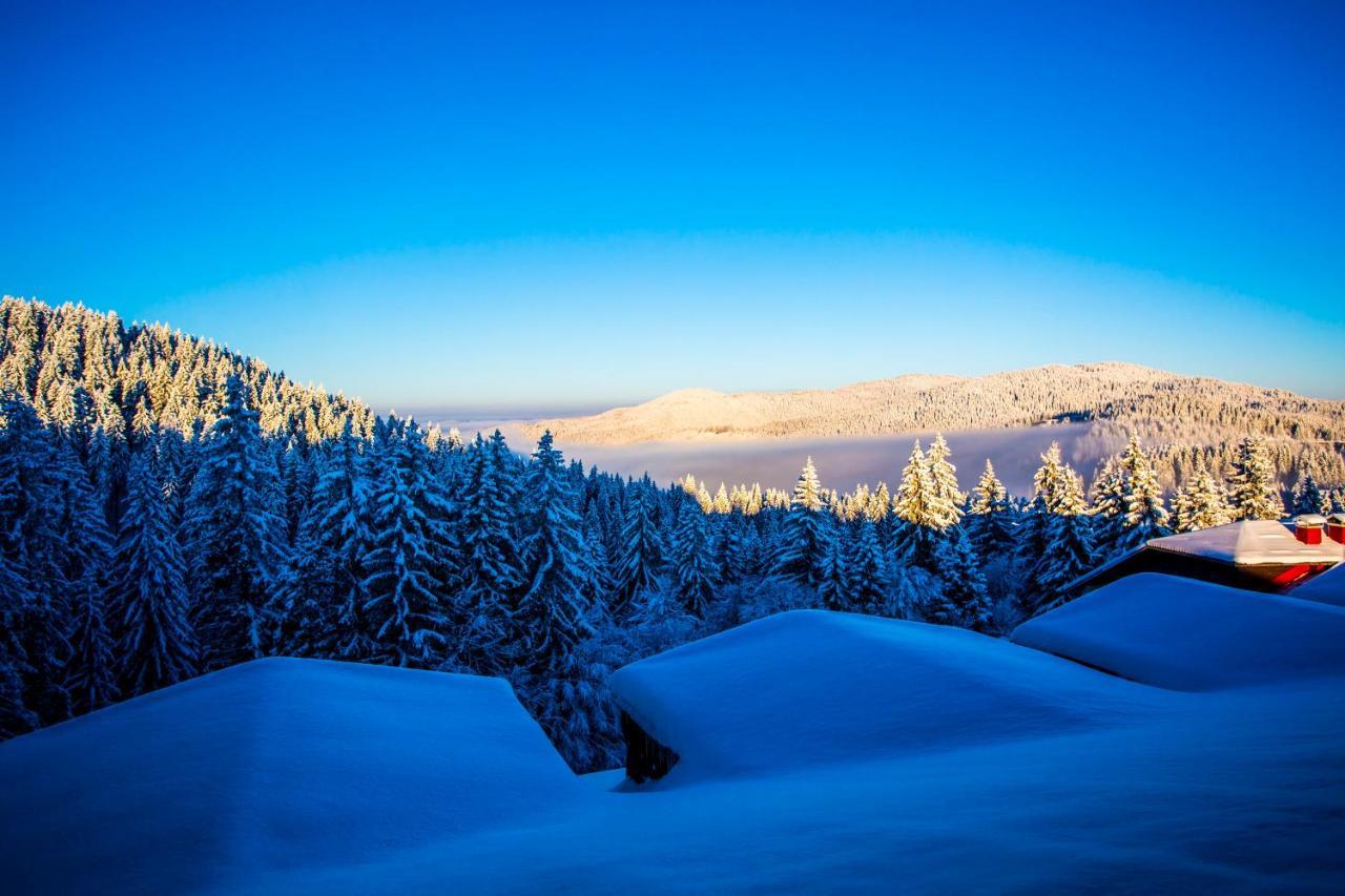 Sunny Hills Ski&Wellness Pamporovo Exterior photo