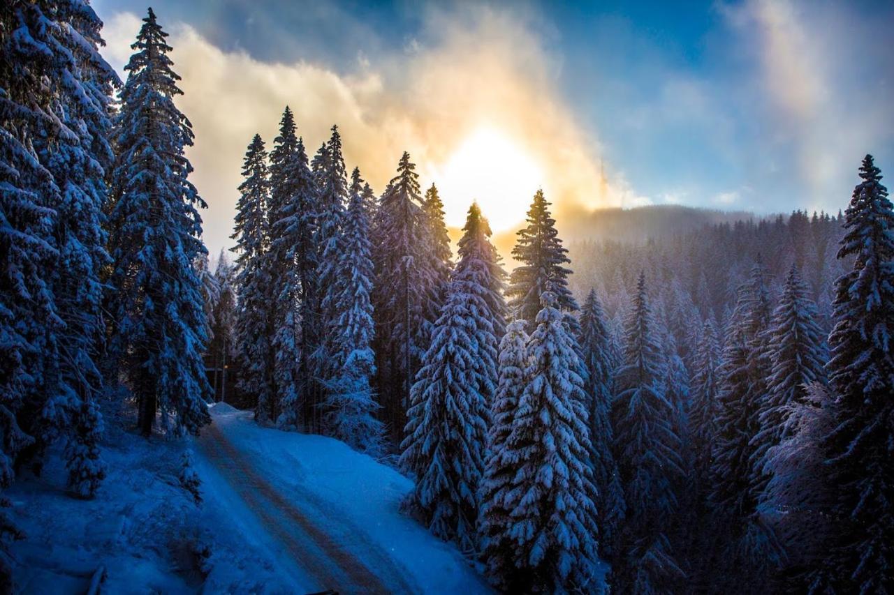 Sunny Hills Ski&Wellness Pamporovo Exterior photo